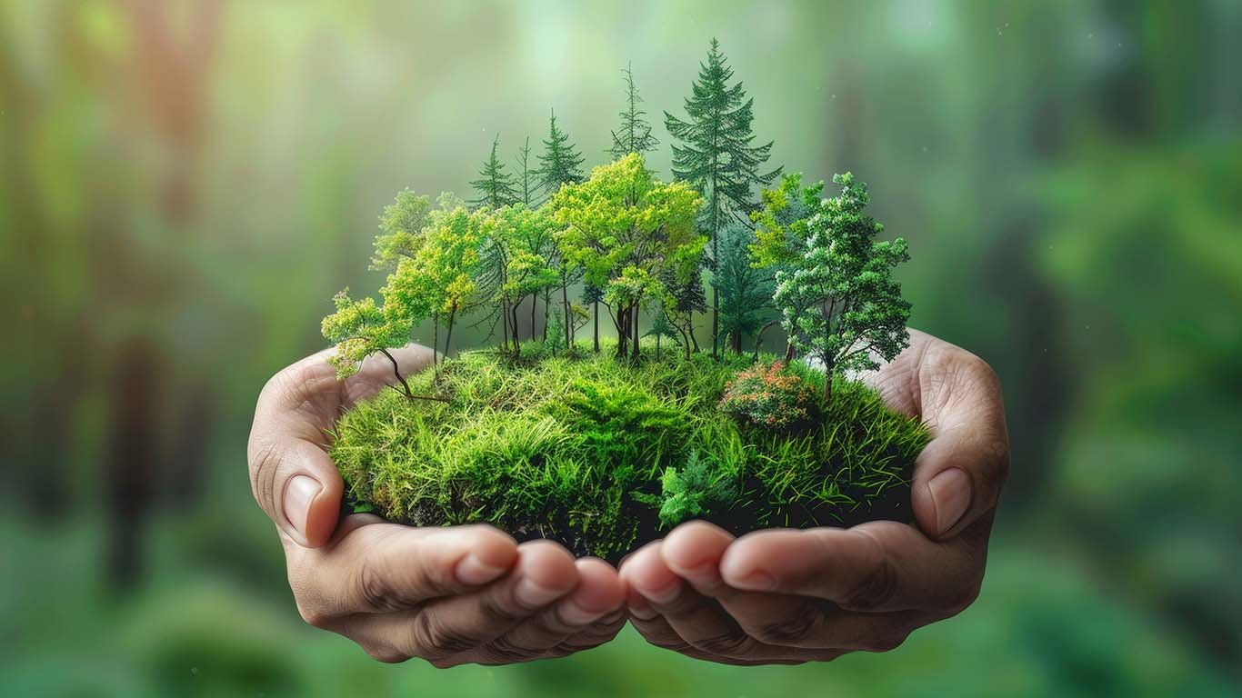 Eco-Friendly Gardening
